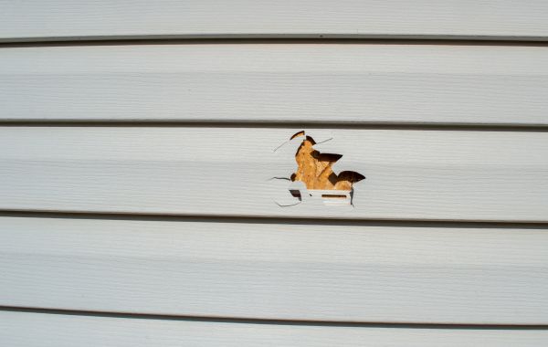 Siding Hole Repair Service