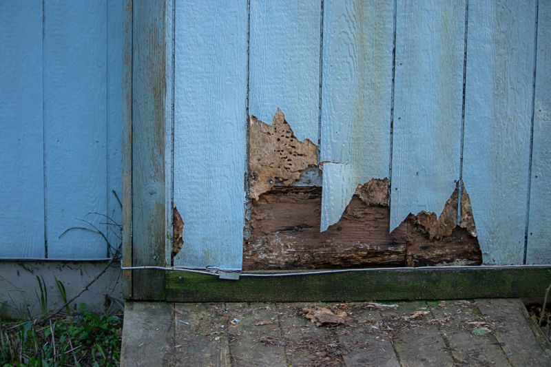 Siding Repair and Restoration